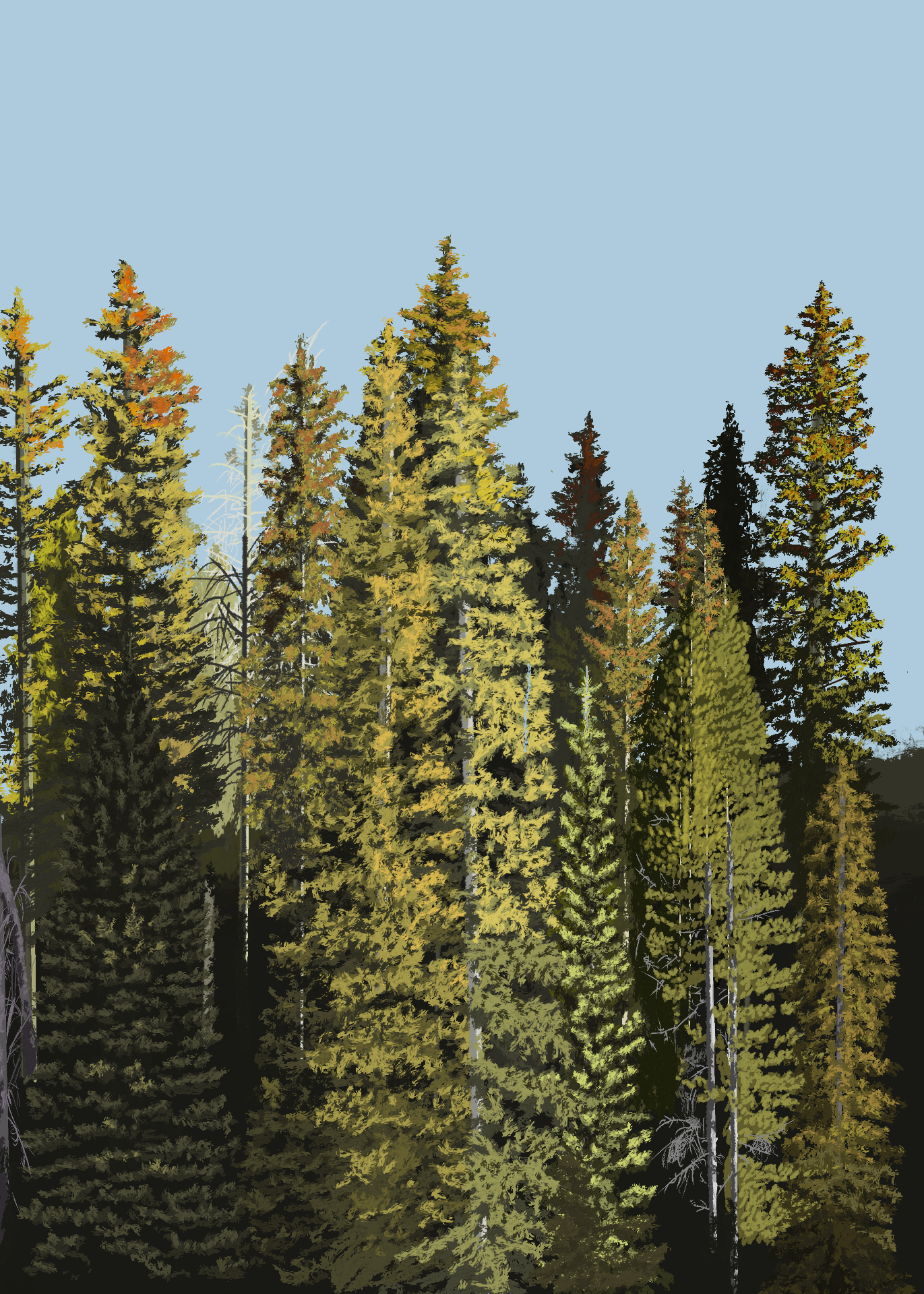 Original oil and acrylic forest landscape painting from the Colorado studio
